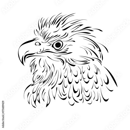 bird 2. head of a bird of prey in black lines on a white background
