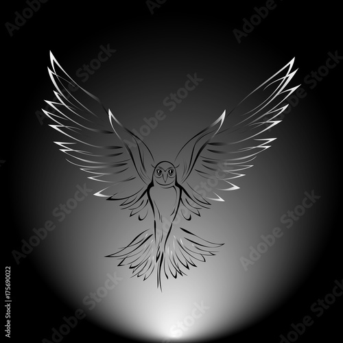 bird 3. predatory bird in flight on a black background