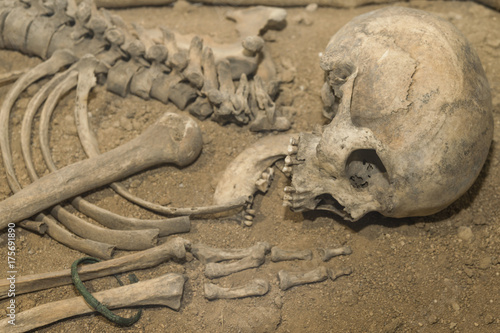 Archaeologists excavated the skeleton of a Neanderthal bones and skull with an open mouth in the ground. Prehistoric, Stone Age, Ice Age. Caveman