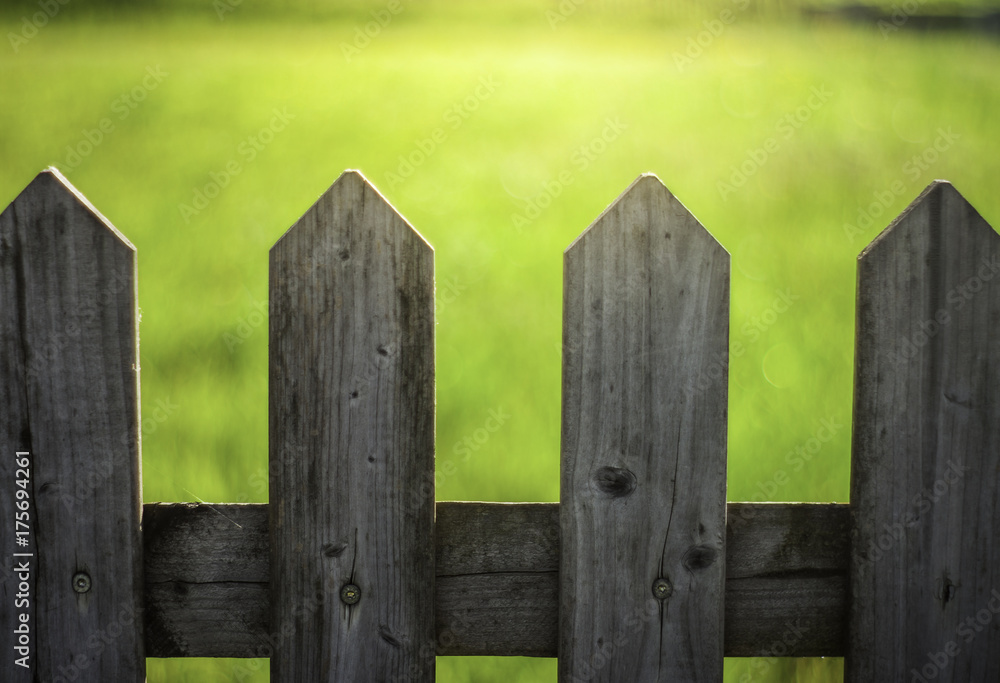 Fototapeta premium wood fence outdoors and green grass back lighting.
