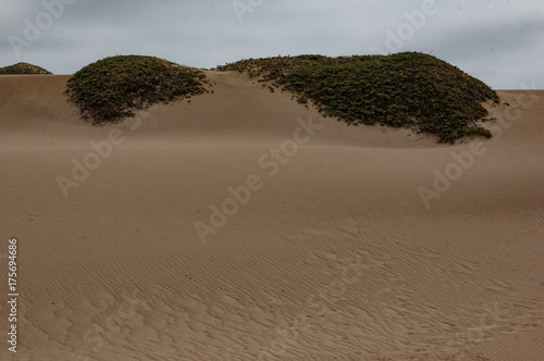 Guadalupe Sand Dunes