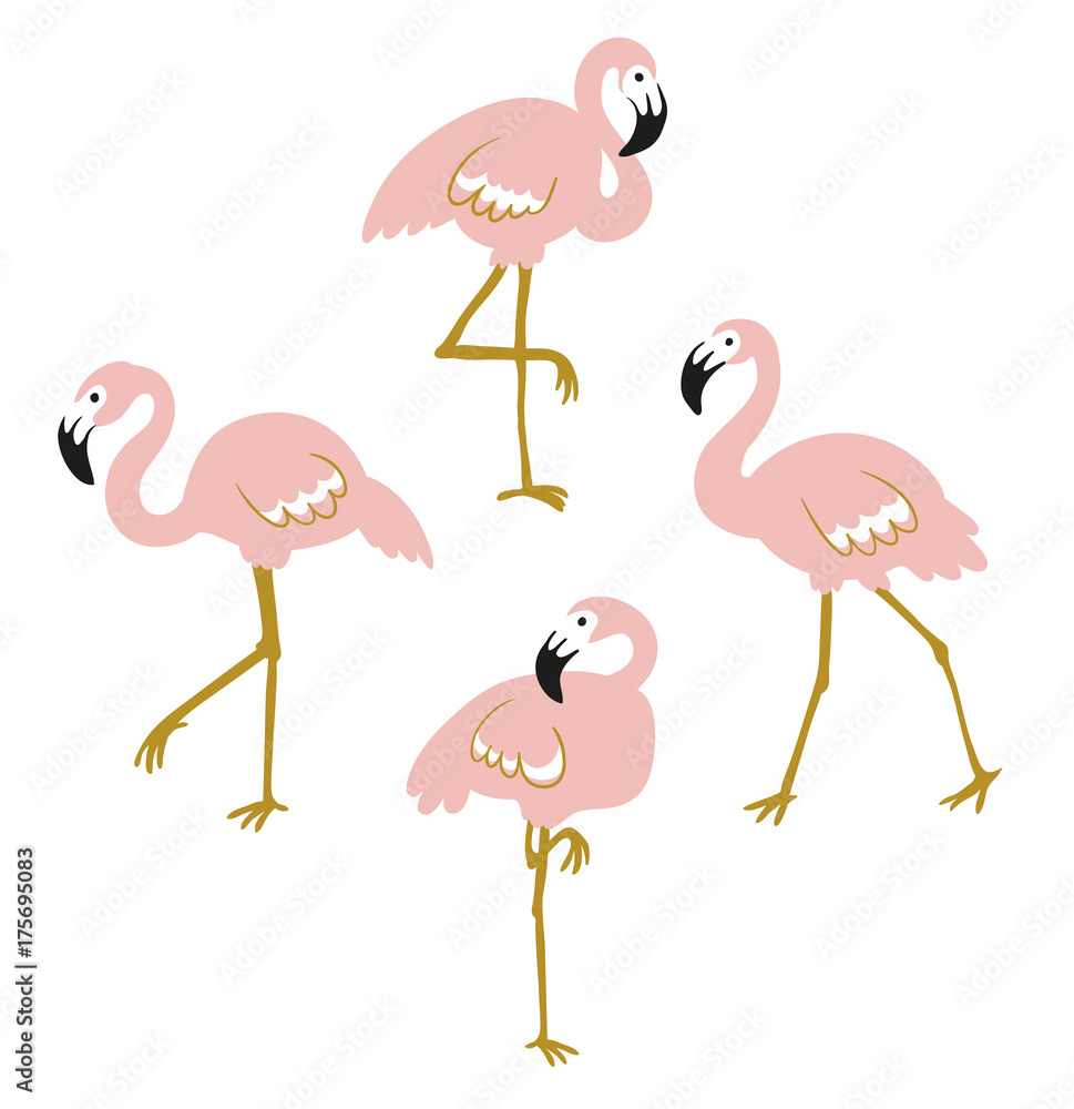 Fototapeta premium Vector set with four pink flamingos isolated on the white background. Flat design.