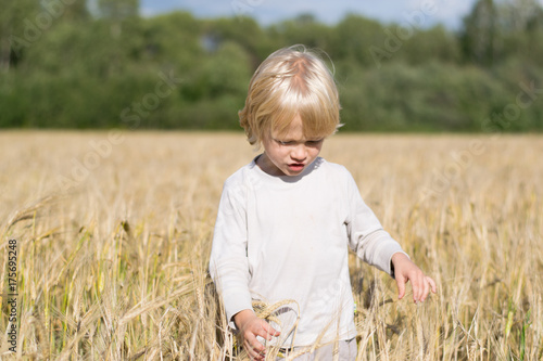 Obraz na płótnie Blond Slavic happy kid boy at a ripe rye wheat field, autumn harvest, Russian forest, the Urals w salonie