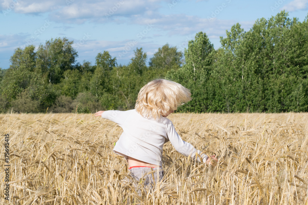 Blond Slavic happy kid boy at a ripe rye wheat field, autumn harvest, Russian forest, the Urals Blond Slavic happy kid boy at a ripe rye wheat field, autumn harvest, Russian forest, the Urals