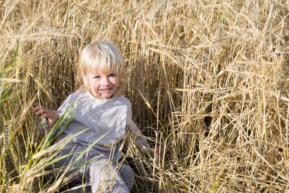 Happy blond child has fun in the rye field, ripe ears of autumn harvest ready to crop