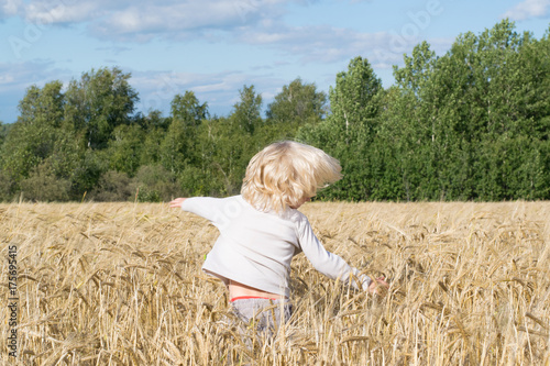 Obraz na płótnie Blond Slavic happy kid boy at a ripe rye wheat field, autumn harvest, Russian forest, the Urals w salonie