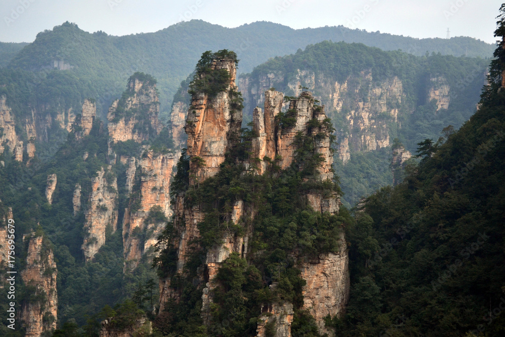 Fototapeta premium Lookout view while hiking around Wulingyuan Scenic Area. What a spectacular view!