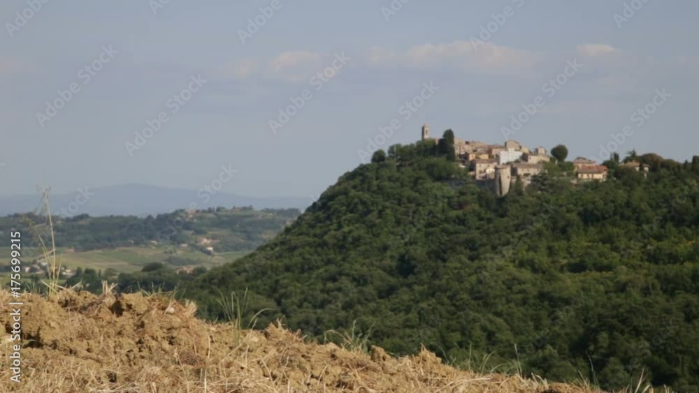 view of a medieval village in Tuscany from the countryside
view of a medieval village in Tuscany from the countryside