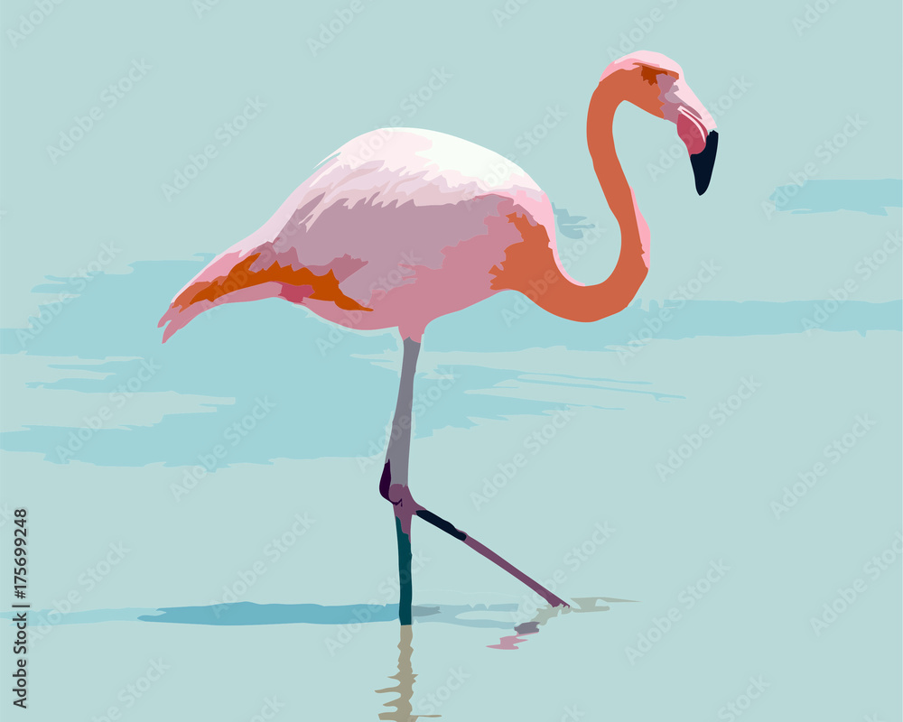 Fototapeta premium flamingo in water