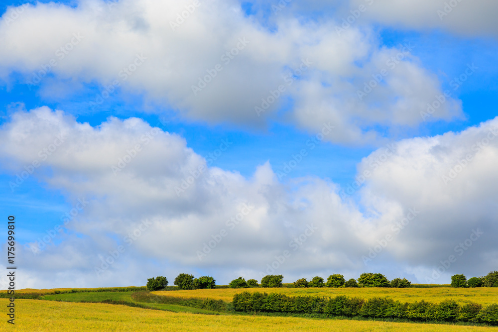 Countryside and Cloudy Sky