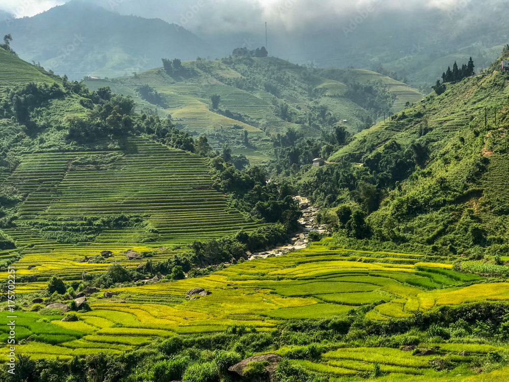 Landscape of green rice field in Sapa ,North Vietnam.