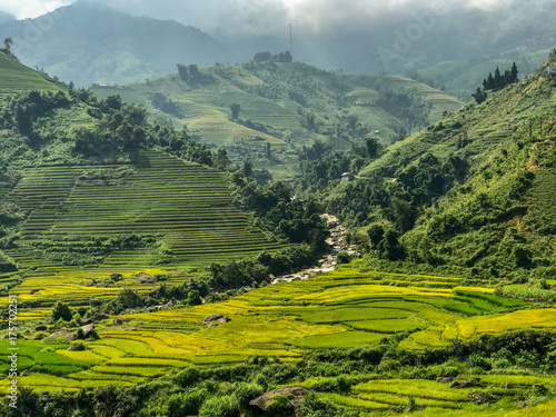 Landscape of green rice field in Sapa ,North Vietnam.
