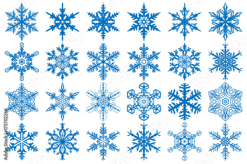 Snowflake Vector Ornaments Set 1