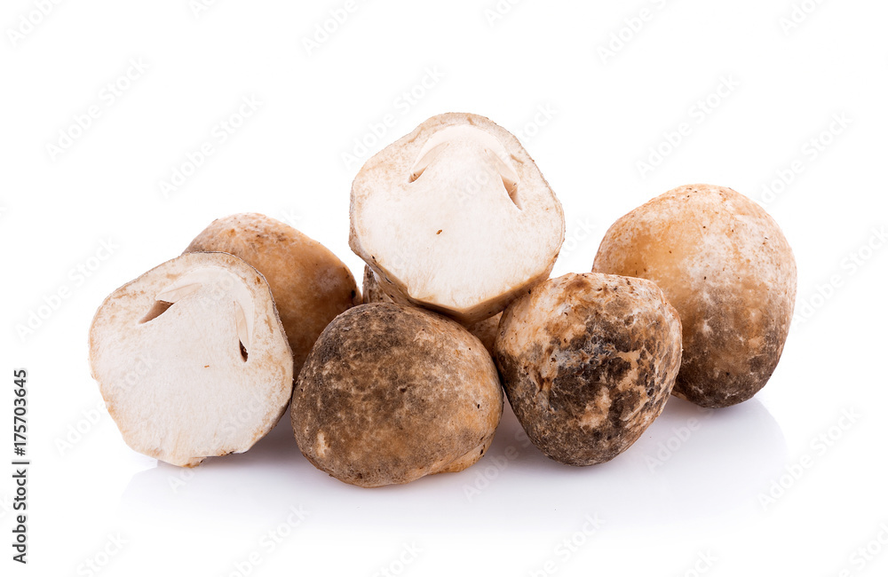Straw mushrooms isolated on white background Straw mushrooms isolated on white background