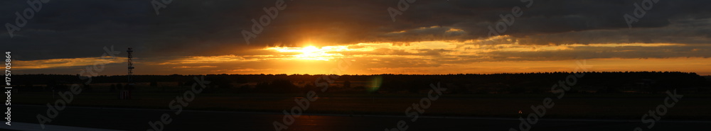 Fototapeta premium Pure Beauty