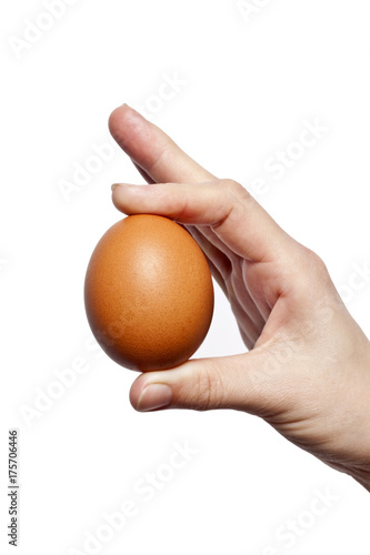 egg isolated over white