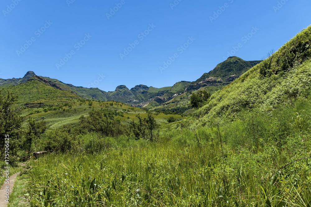 Fototapeta premium Path, walk to Thukela waterfall in Royal Natal Park Drakensberg mountain, South Africa