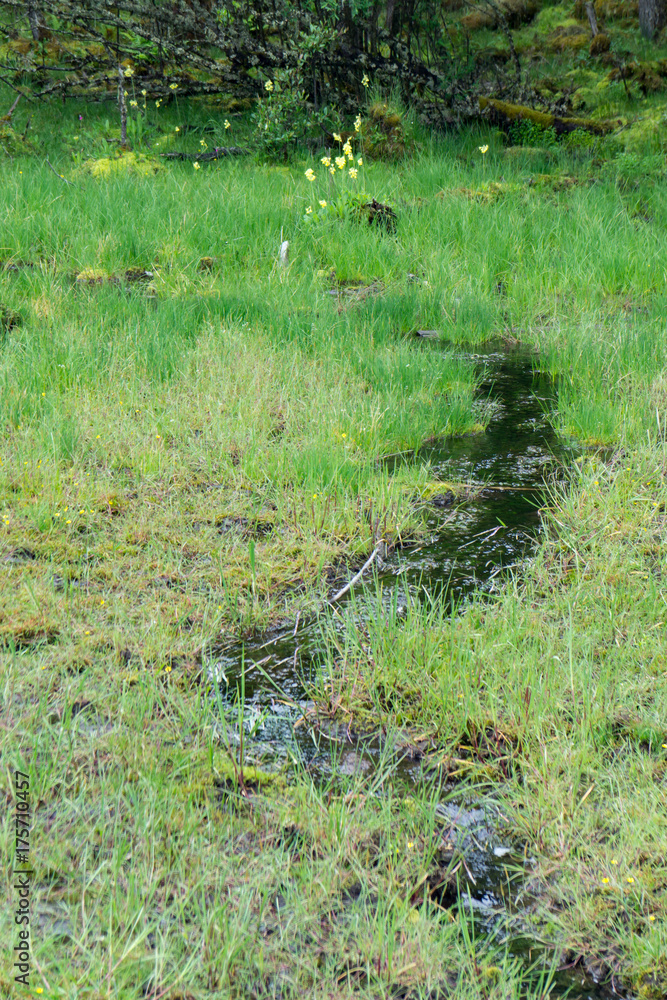 Obraz premium pudacuo park