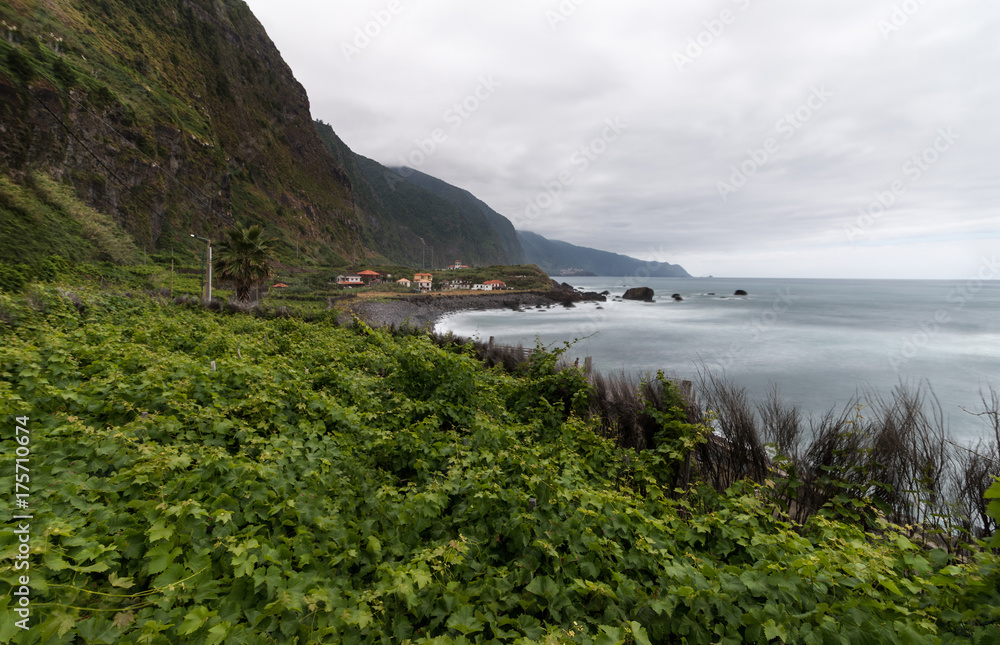 vineyard in madeira island vineyard in madeira island
