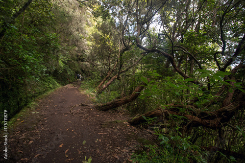 Levada of Caldeirao Verde