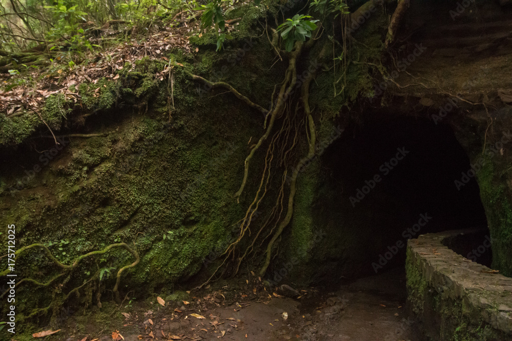 Fototapeta premium Levada of Caldeirao Verde