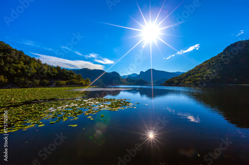 The bright sun is reflected in the Skadar Lake, overgrown with water lilies. Montenegro. photo