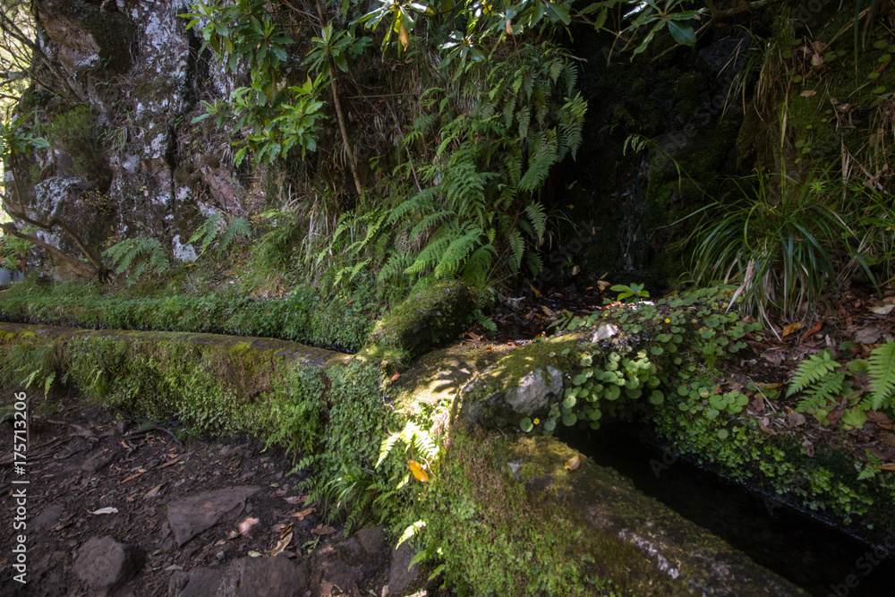 Levada of 25 fontes