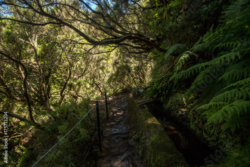 Levada of 25 fontes