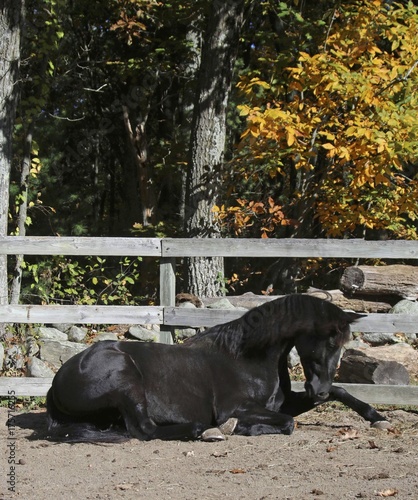 Autumn Rest 