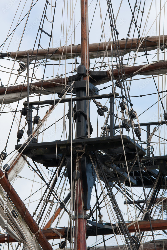 Obraz premium Matures