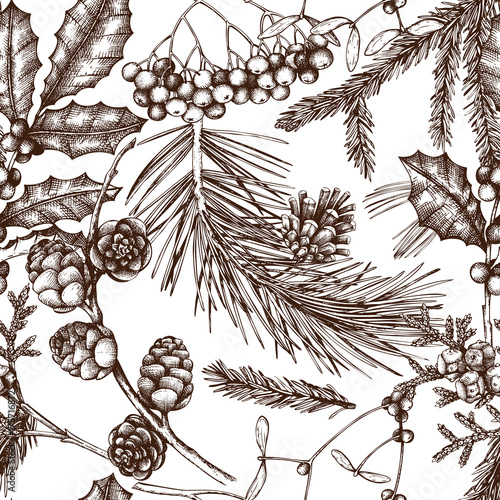 Vector background with hand drawn winter trees sketch. Seamless pattern with traditional christmas plants and flowers. Vintage holiday decor. 