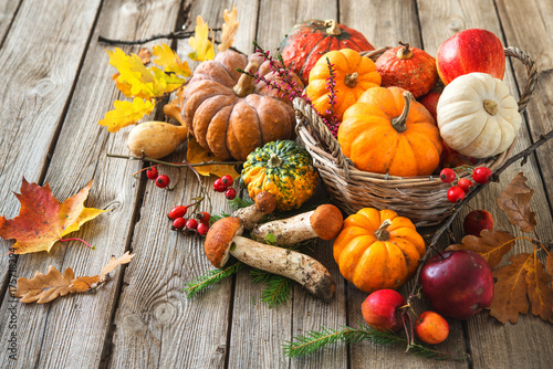 Autumn still life with pumpkins, corncobs, fruits and leaves