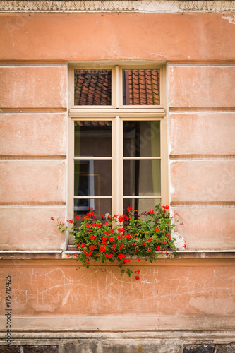 Mazury miasto Reszel, stara kamienica, kwity w oknie