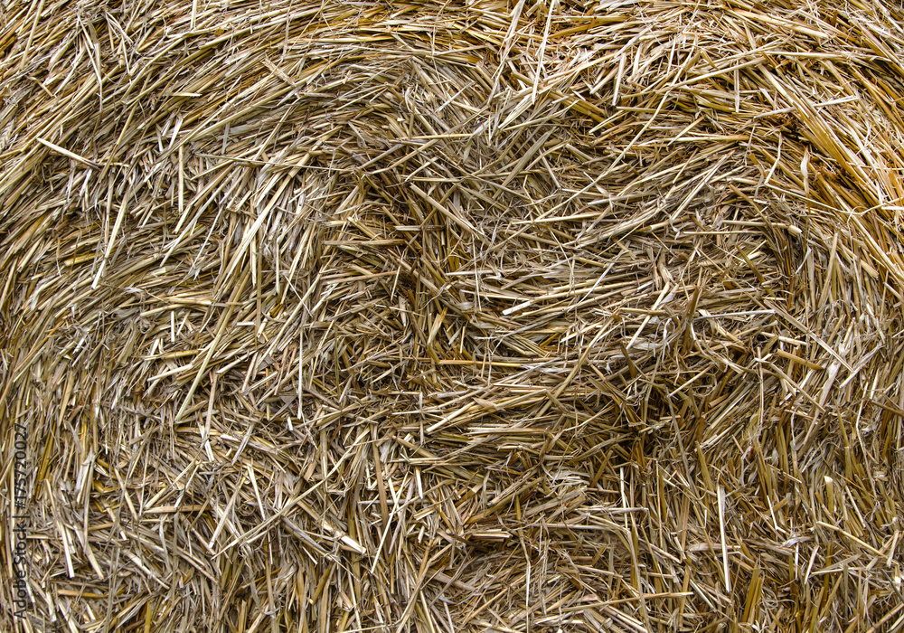 natural textures - straw. Straw is covered with greens natural textures - straw. Straw is covered with greens