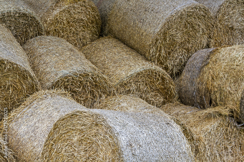 natural straw texture in bundles