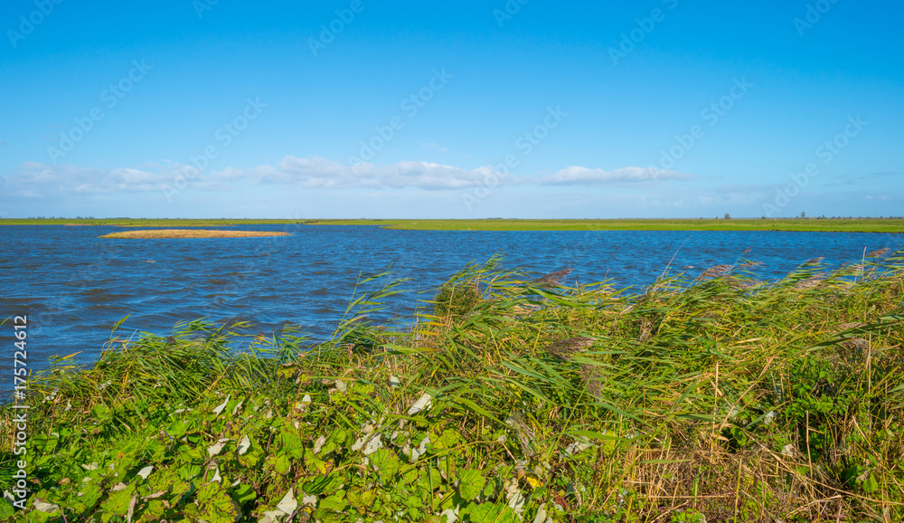  Shore of a lake below a blue sky in autumn