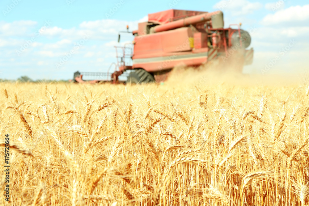 Fototapeta premium Modern agricultural equipment on field