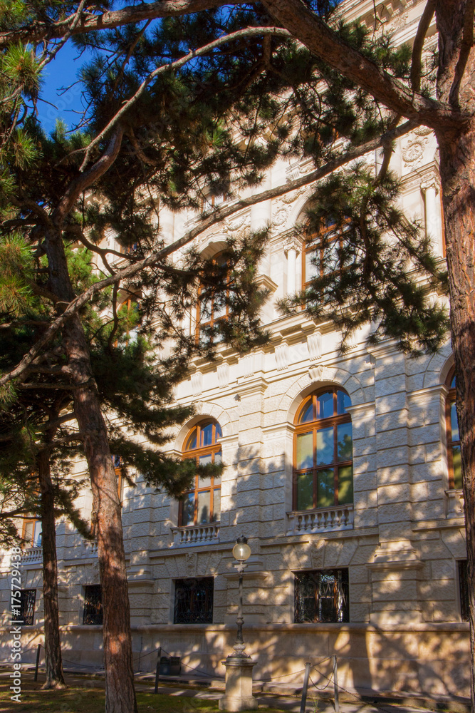 Schattige Fassade von einem historischen Gebäude am Burgring in Wien unter einem Baum 