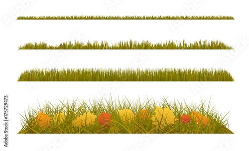 Autumn grass with fall leaves on white background. Set of autumn decorations.