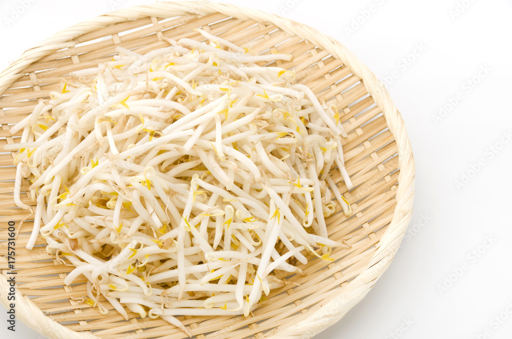 もやし もやし