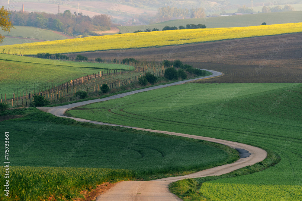 Rural landscape with green fields, auto road and waves, South Moravia, Czech Republic Rural landscape with green fields, auto road and waves, South Moravia, Czech Republic