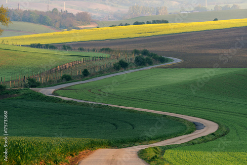 Rural landscape with green fields, auto road and waves, South Moravia, Czech Republic