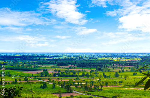 View of green filed with blue sky background agriculture from north east Thailand.  