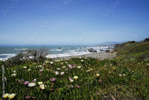 Lost Coast
