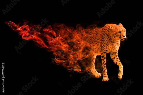 Stampa su Tela Cheetah animal kingdom collection with amazing effect