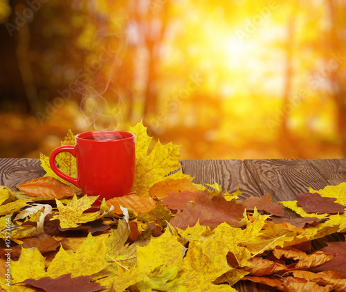 Autumn leaves and coffee.