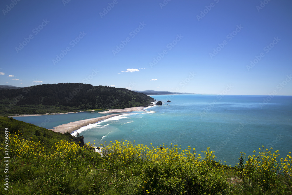 Obraz premium Perfection