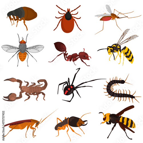 Set pf dangerous insects color flat icons