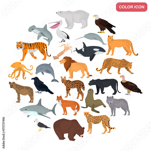 Set of land and water predators color flat icons