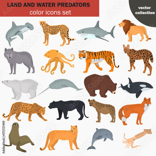 Set of land and water predators color flat icons